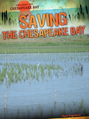 cover image of Saving the Chesapeake Bay